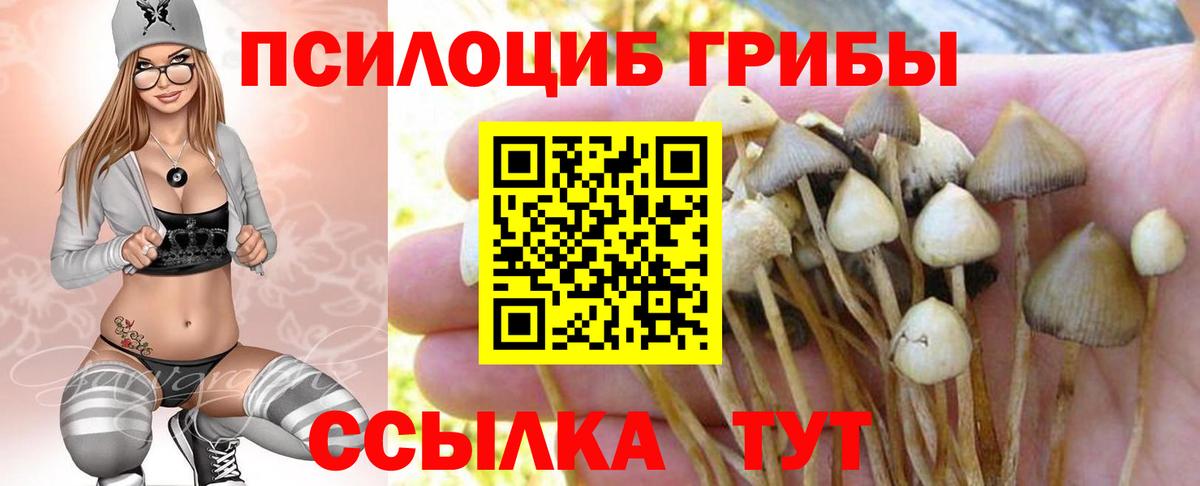 Псилоцибиновые грибы Cubensis  Вход с VPN  Псилоцибиновые грибы MAGIC MUSHROOMS  Ивантеевка 